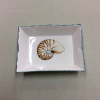 2734 Nautilus shell